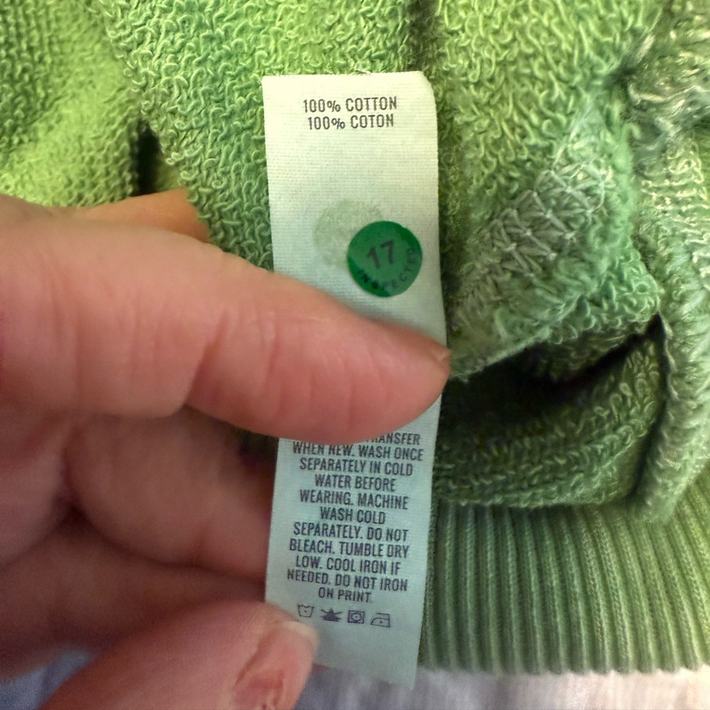 Aerie Take It Easy Tiger 100% Cotton Green Sweatshirt NWT XL - Picture 10 of 10